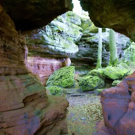 Monte-noble-ii Erlenbach (Rhineland-Palatinate)