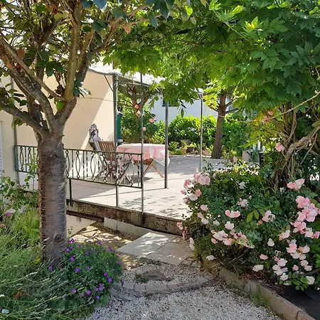 Monte-noble-ii * Erlenbach (Rhineland-Palatinate)