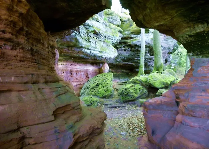 Monte-noble-ii Erlenbach (Rhineland-Palatinate)